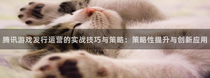 imtoken与tp钱包